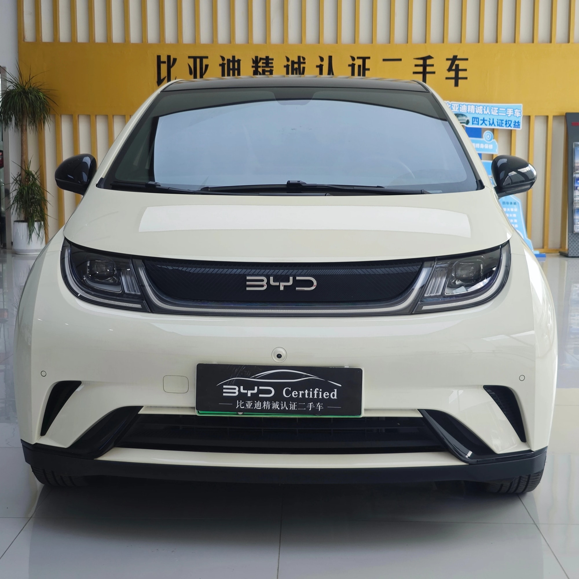 BYD Dolphin 2025 Pure Electric 2026 Intelligent Driving Edition Knight Edition — photo 1