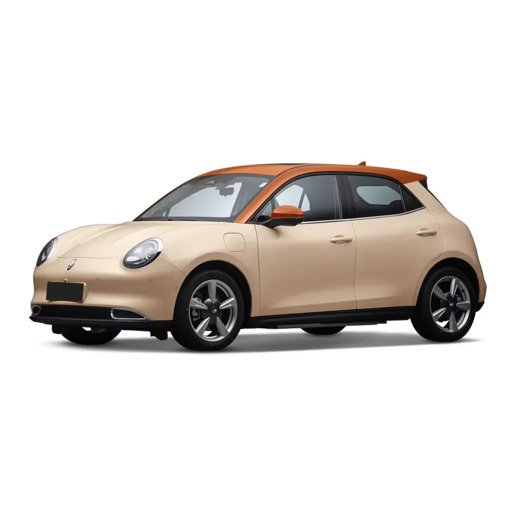 Ev Car 2024 for Ora Good Cat GT 5 Seat 401km-501km 2wd Small Electric Car Used Car — photo 1
